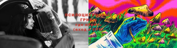 прущие крисы Верхний Тагил