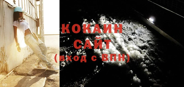 spice Богородицк
