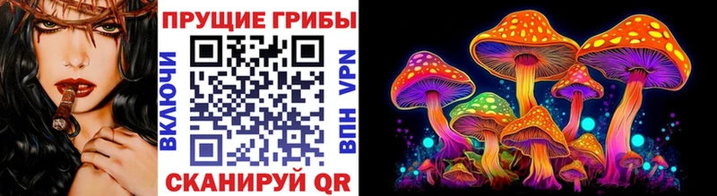 Купить где  Макушино  Псилоцибиновые грибы Magic Shrooms 